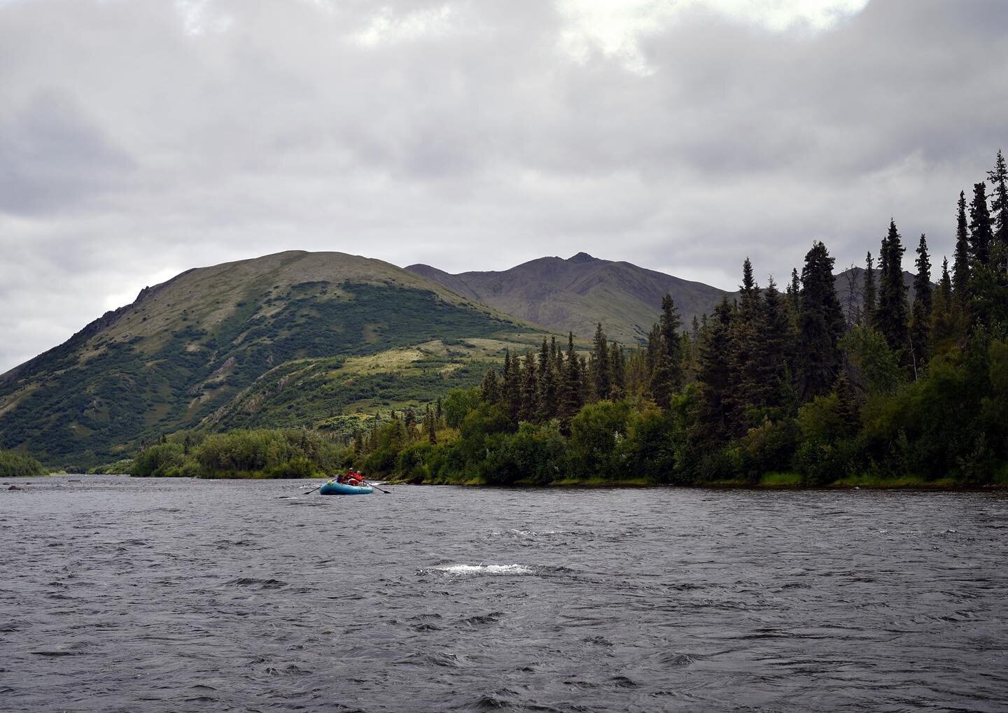 Come join us for a Kisiralik float this summer!
#kisaralik #riverrafting #flyfishing #alaskaflyfishing #keepemwet #catchandrelease #silversalmon #alaska #alaskasalmon #salmonfishing #alaskafishing #troutunlimited #ouzel #ouzelexpeditions