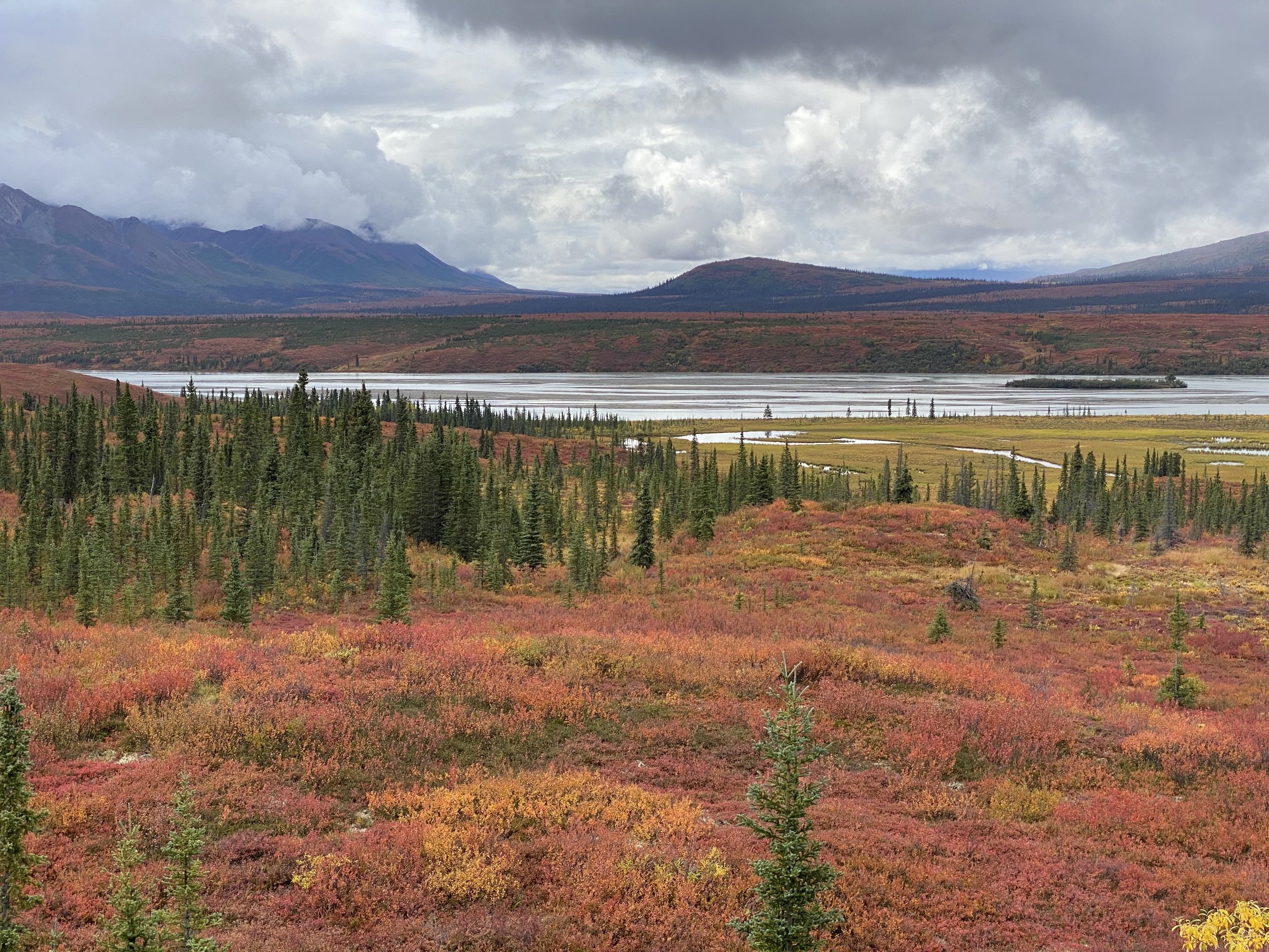 Autumn Colors in the Alaska tundra